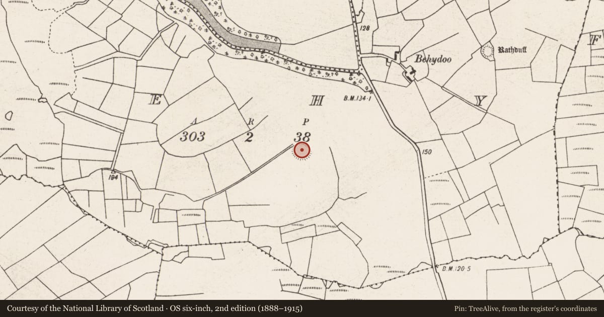 Ordnance Survey six-inch map, 2nd edition (1888–1915) covering the location of Ringfort - rath, Behy (Tirawley By., Crossmolina. Par.), County Mayo, with a pin at the register's coordinates