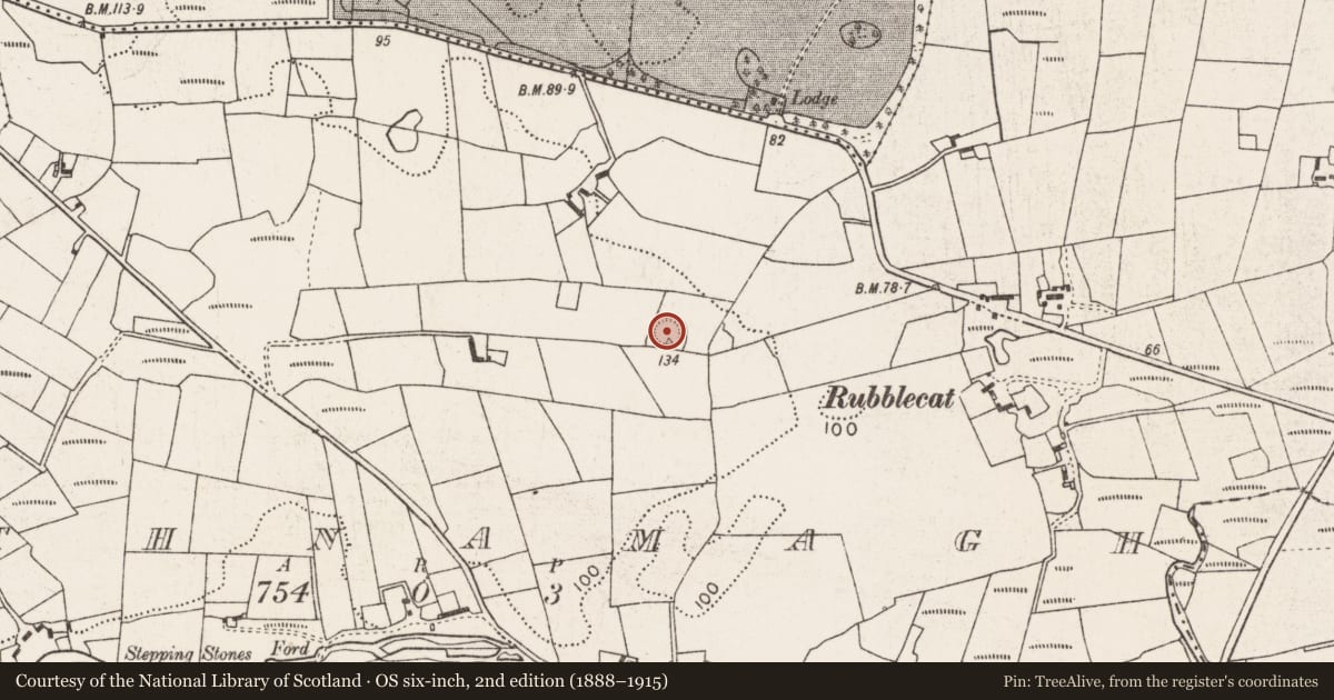 Ordnance Survey six-inch map, 2nd edition (1888–1915) covering the location of Ringfort - rath, Rathnamagh, County Mayo, with a pin at the register's coordinates