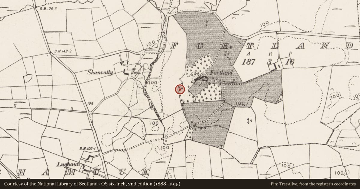 Ordnance Survey six-inch map, 2nd edition (1888–1915) covering the location of Ringfort - rath, Fortland, County Mayo, with a pin at the register's coordinates