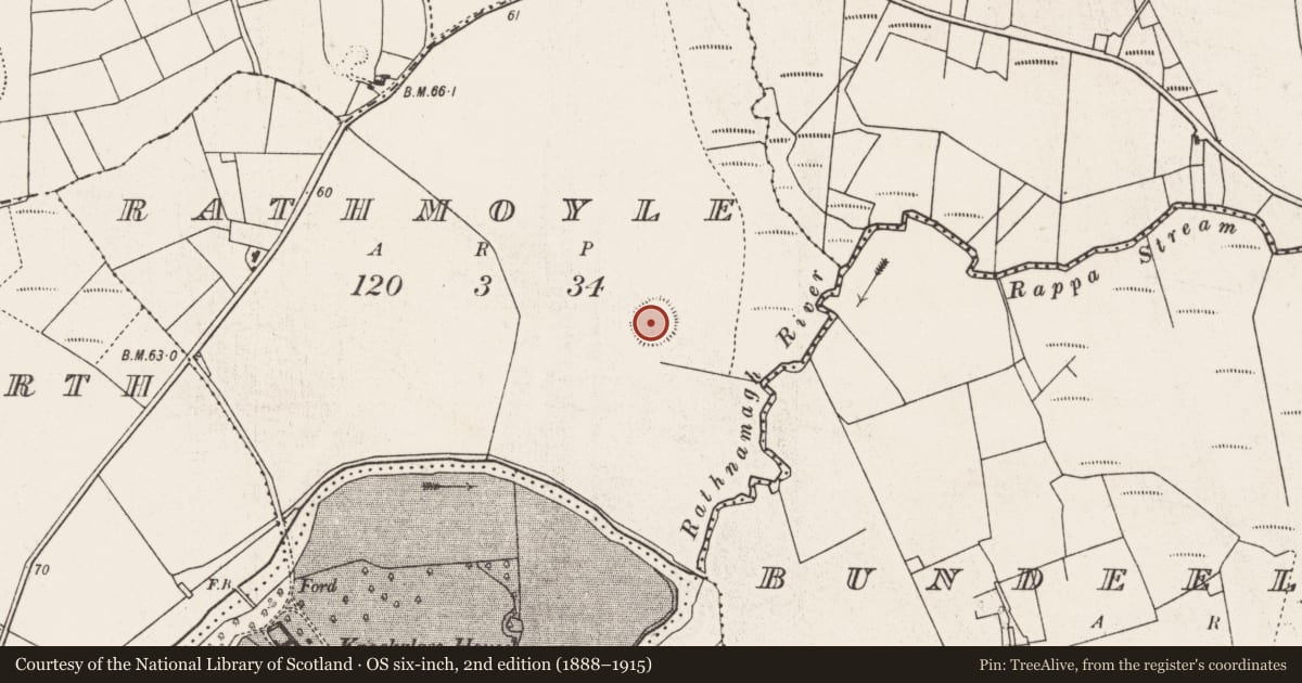 Ordnance Survey six-inch map, 2nd edition (1888–1915) covering the location of Ringfort - rath, Rathmoyle, County Mayo, with a pin at the register's coordinates