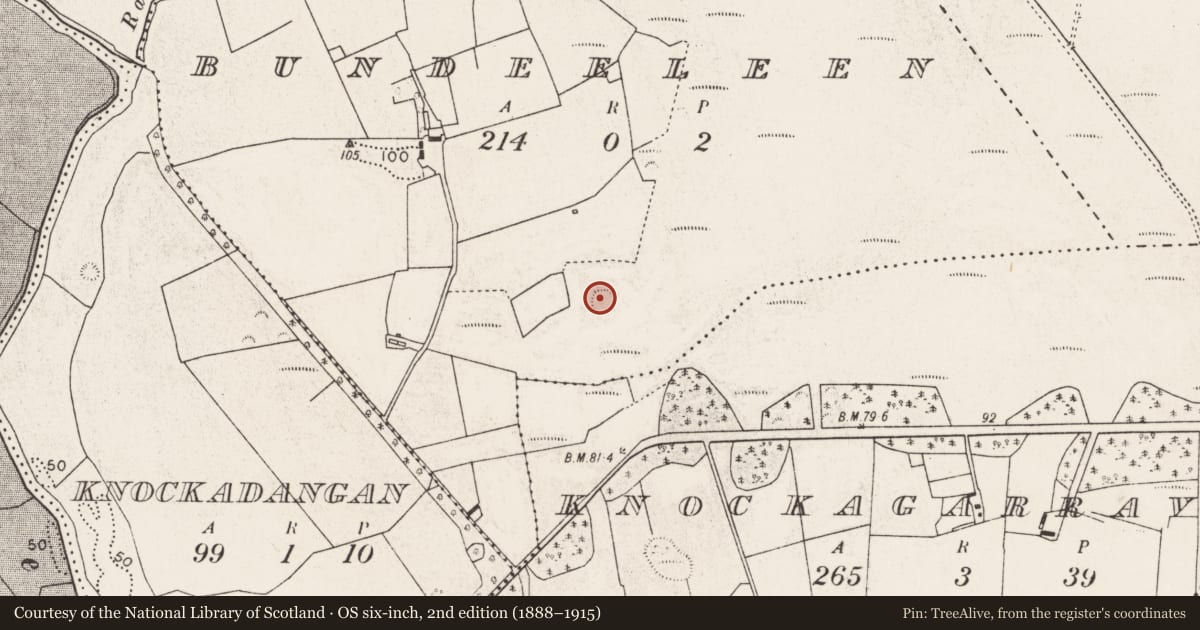 Ordnance Survey six-inch map, 2nd edition (1888–1915) covering the location of Ringfort - rath, Bundeeleen, County Mayo, with a pin at the register's coordinates