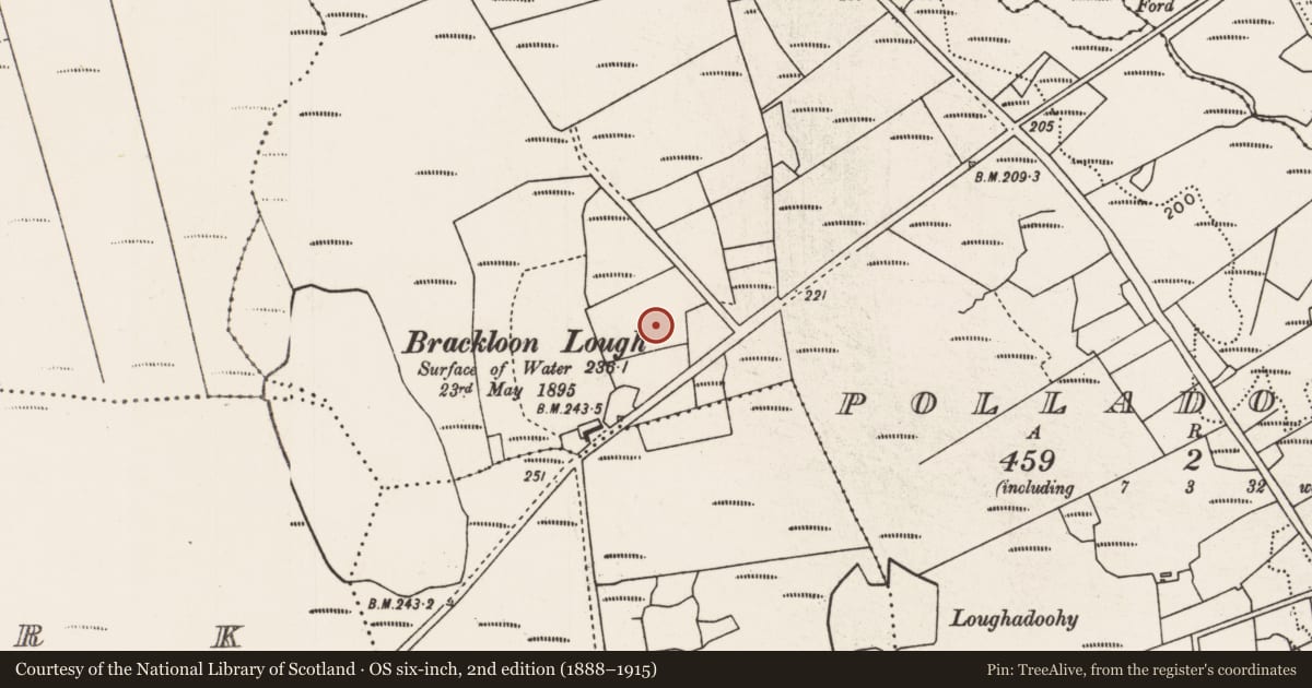 Ordnance Survey six-inch map, 2nd edition (1888–1915) covering the location of Ringfort - rath, Polladoohy, County Mayo, with a pin at the register's coordinates