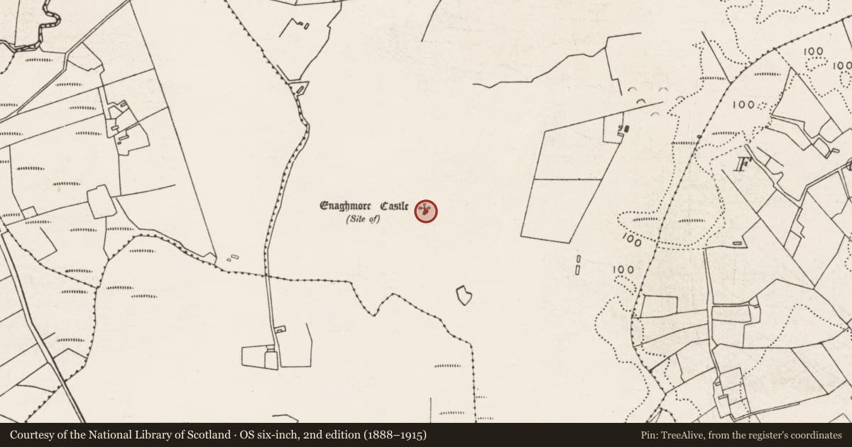 Ordnance Survey six-inch map, 2nd edition (1888–1915) covering the location of Castle - unclassified, Enagh More, County Mayo, with a pin at the register's coordinates