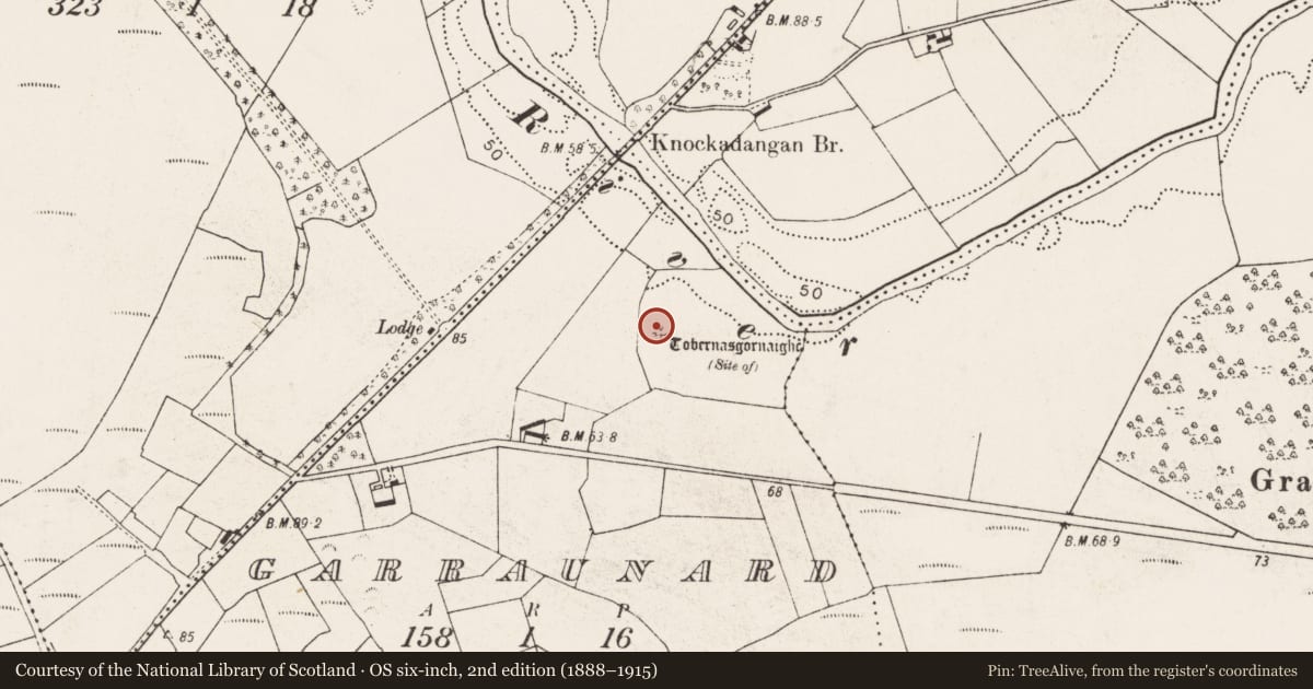 Ordnance Survey six-inch map, 2nd edition (1888–1915) covering the location of Mound, Garraunard, County Mayo, with a pin at the register's coordinates