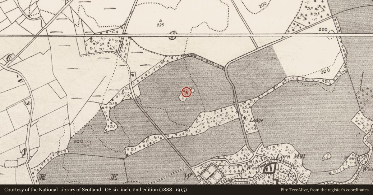 Ordnance Survey six-inch map, 2nd edition (1888–1915) covering the location of Designed landscape feature, Forrew, County Mayo, with a pin at the register's coordinates