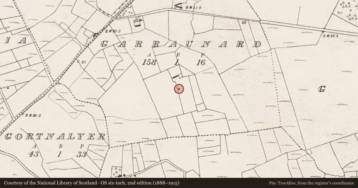Ordnance Survey six-inch map, 2nd edition (1888–1915) covering the location of Souterrain, Garraunard, County Mayo, with a pin at the register's coordinates