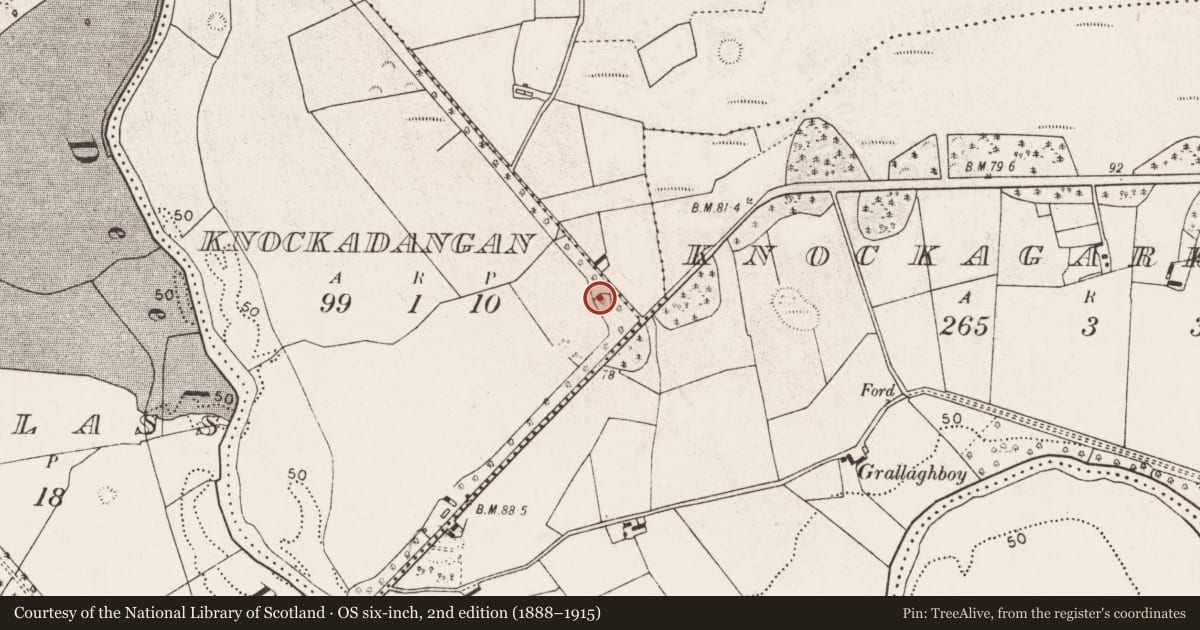 Ordnance Survey six-inch map, 2nd edition (1888–1915) covering the location of Ringfort - rath, Knockadangan, County Mayo, with a pin at the register's coordinates