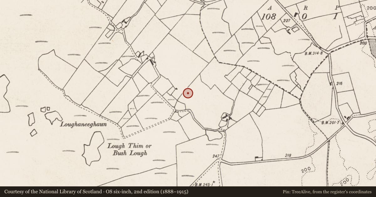 Ordnance Survey six-inch map, 2nd edition (1888–1915) covering the location of Megalithic structure, Gortnahurra Lower, County Mayo, with a pin at the register's coordinates