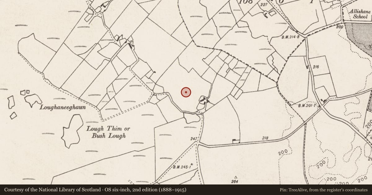 Ordnance Survey six-inch map, 2nd edition (1888–1915) covering the location of Standing stone, Gortnahurra Lower, County Mayo, with a pin at the register's coordinates