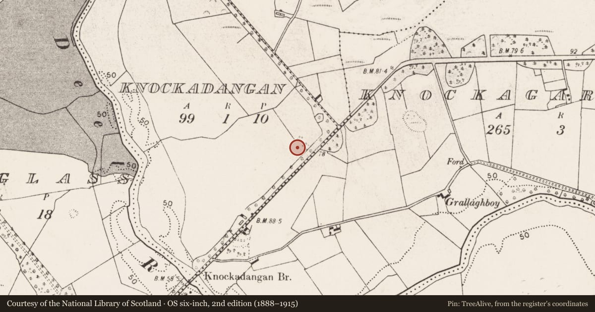 Ordnance Survey six-inch map, 2nd edition (1888–1915) covering the location of Ringfort - rath, Knockadangan, County Mayo, with a pin at the register's coordinates