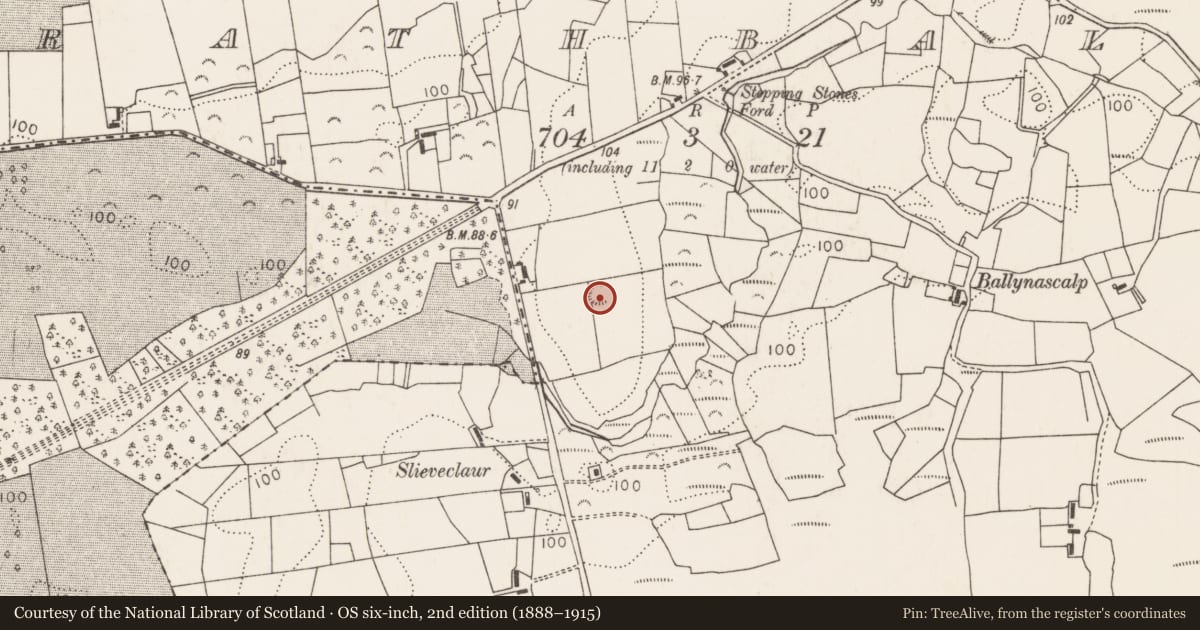 Ordnance Survey six-inch map, 2nd edition (1888–1915) covering the location of Ringfort - rath, Rathbal, County Mayo, with a pin at the register's coordinates
