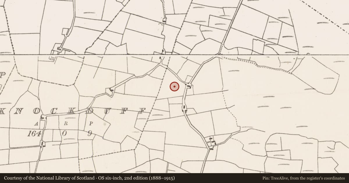 Ordnance Survey six-inch map, 2nd edition (1888–1915) covering the location of Ringfort - rath, Farrannasculloge, County Mayo, with a pin at the register's coordinates