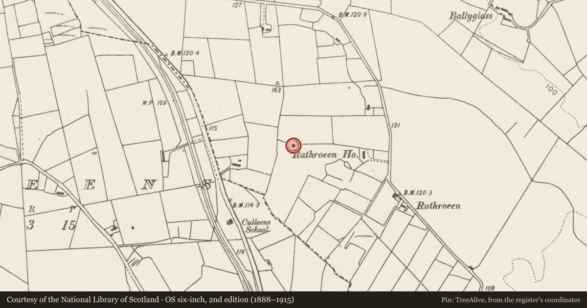 Ordnance Survey six-inch map, 2nd edition (1888–1915) covering the location of Ringfort - rath, Rathroeen, County Mayo, with a pin at the register's coordinates