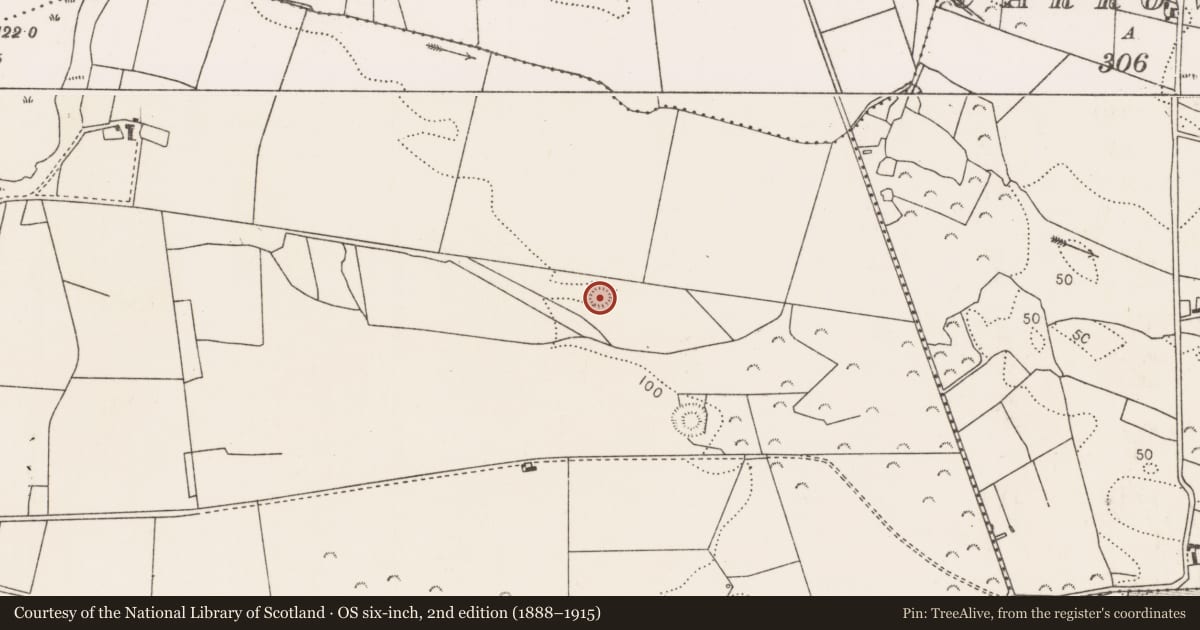 Ordnance Survey six-inch map, 2nd edition (1888–1915) covering the location of Ringfort - rath, Rathroeen, County Mayo, with a pin at the register's coordinates