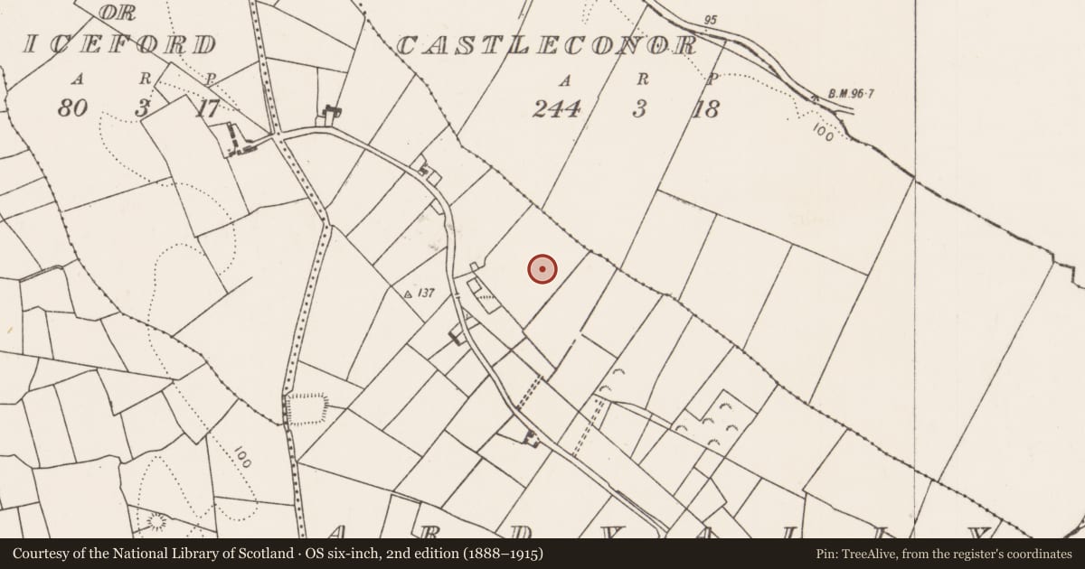 Ordnance Survey six-inch map, 2nd edition (1888–1915) covering the location of Ringfort - rath, Ardvally, County Mayo, with a pin at the register's coordinates