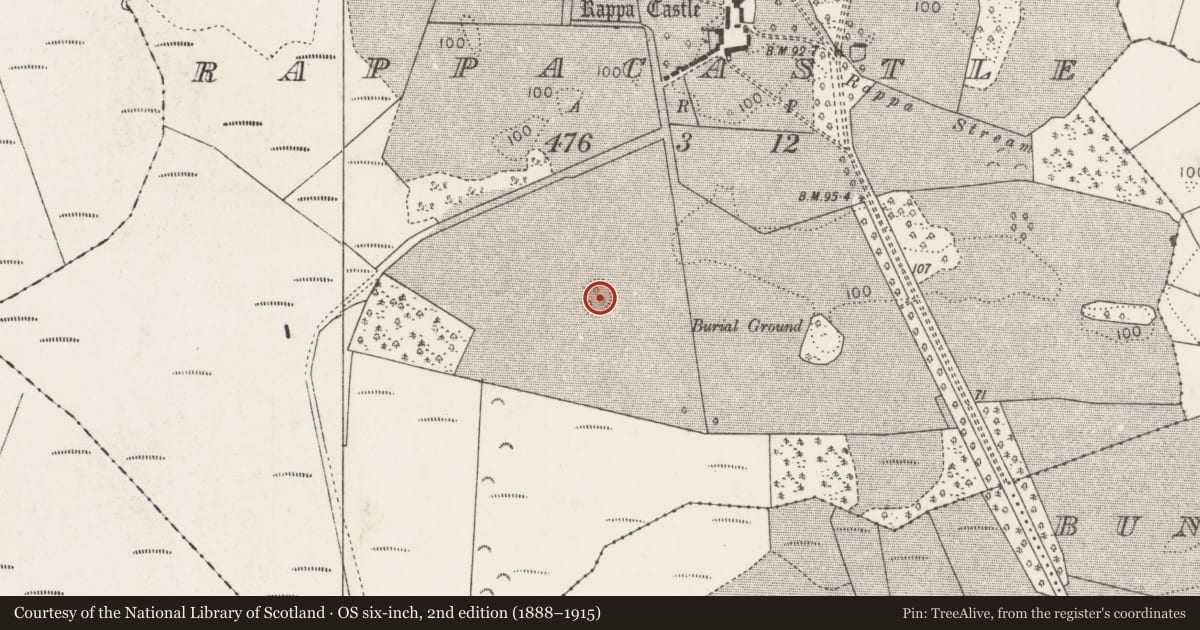Ordnance Survey six-inch map, 2nd edition (1888–1915) covering the location of Ringfort - rath, Rappacastle, County Mayo, with a pin at the register's coordinates
