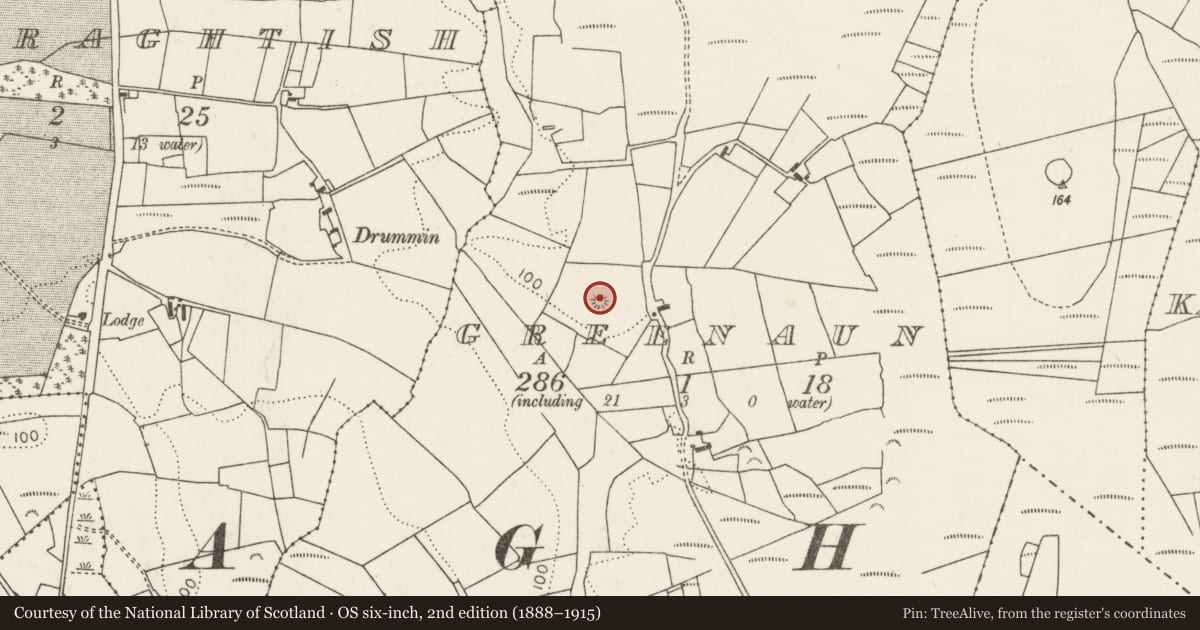 Ordnance Survey six-inch map, 2nd edition (1888–1915) covering the location of Ringfort - rath, Greenaun, County Mayo, with a pin at the register's coordinates
