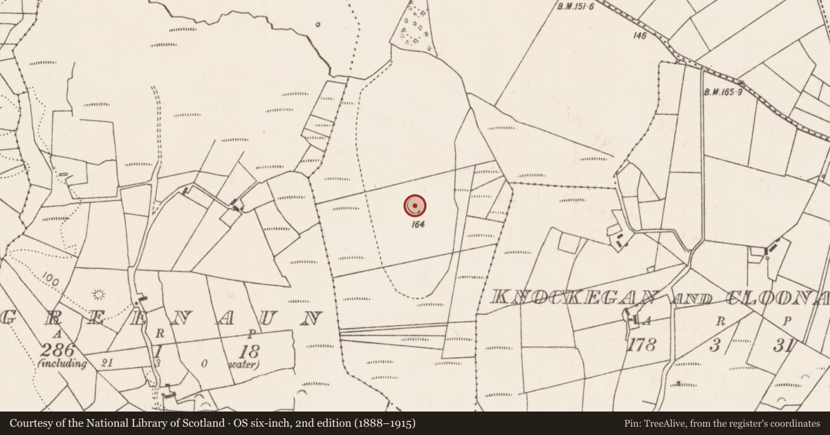 Ordnance Survey six-inch map, 2nd edition (1888–1915) covering the location of Ringfort - rath, Cloonagh More (Tirawley By., Ardagh Par.), County Mayo, with a pin at the register's coordinates