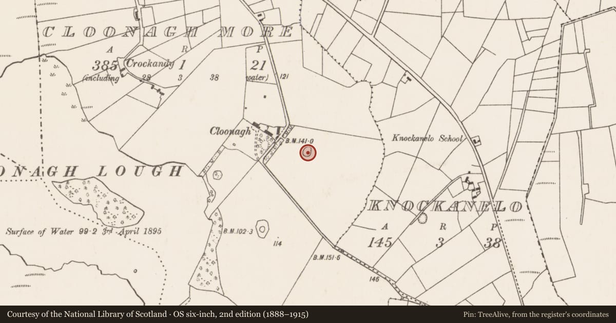 Ordnance Survey six-inch map, 2nd edition (1888–1915) covering the location of Ringfort - rath, Cloonagh More (Tirawley By., Ardagh Par.), County Mayo, with a pin at the register's coordinates