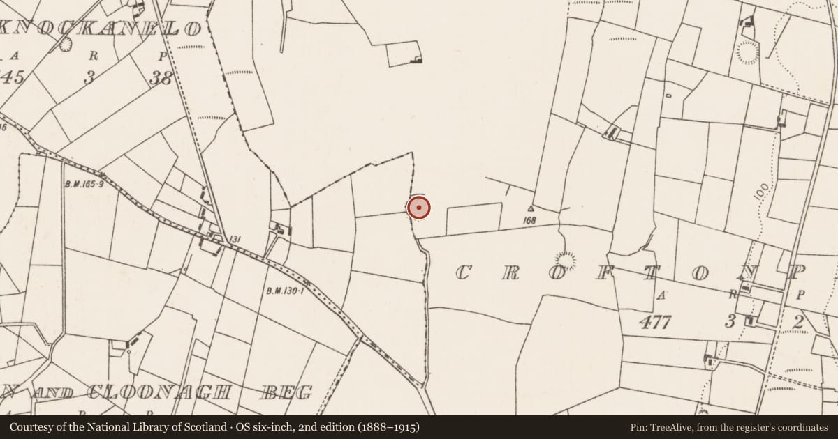 Ordnance Survey six-inch map, 2nd edition (1888–1915) covering the location of Ringfort - rath, Croftonpark, County Mayo, with a pin at the register's coordinates