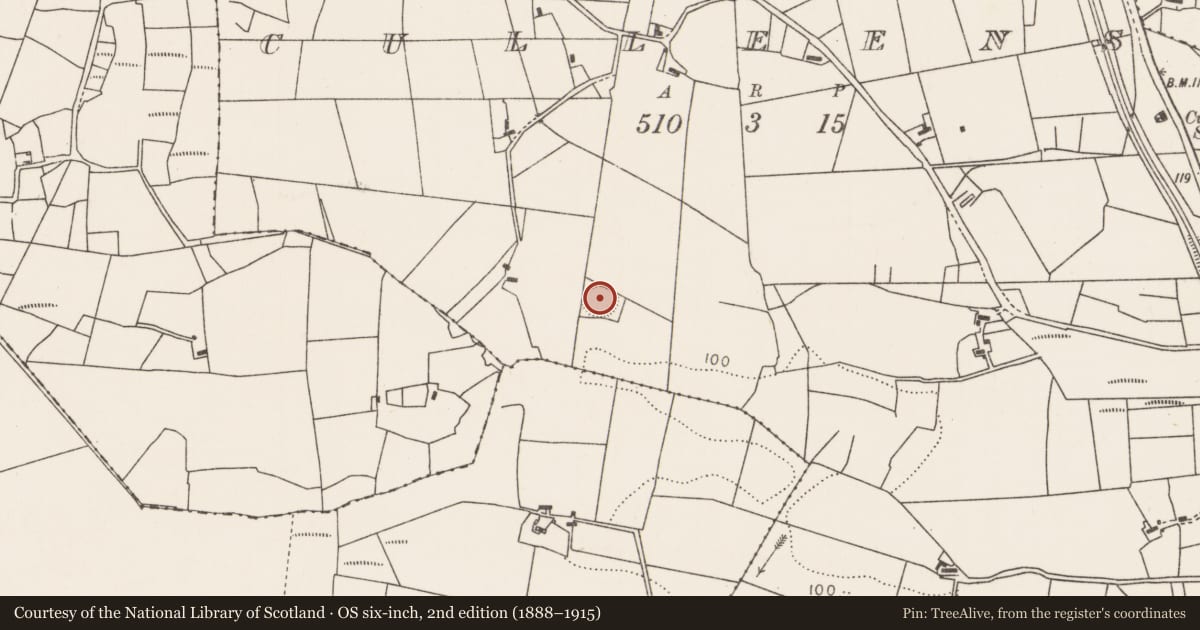 Ordnance Survey six-inch map, 2nd edition (1888–1915) covering the location of Ringfort - rath, Culleens, County Mayo, with a pin at the register's coordinates