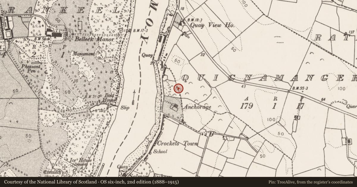 Ordnance Survey six-inch map, 2nd edition (1888–1915) covering the location of Enclosure, Quignalecka, Quignamanger, County Mayo, with a pin at the register's coordinates