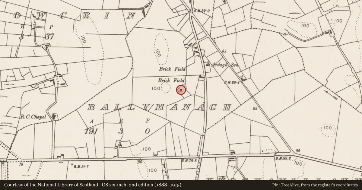 Ordnance Survey six-inch map, 2nd edition (1888–1915) covering the location of Ringfort - rath, Ballymanagh, County Mayo, with a pin at the register's coordinates
