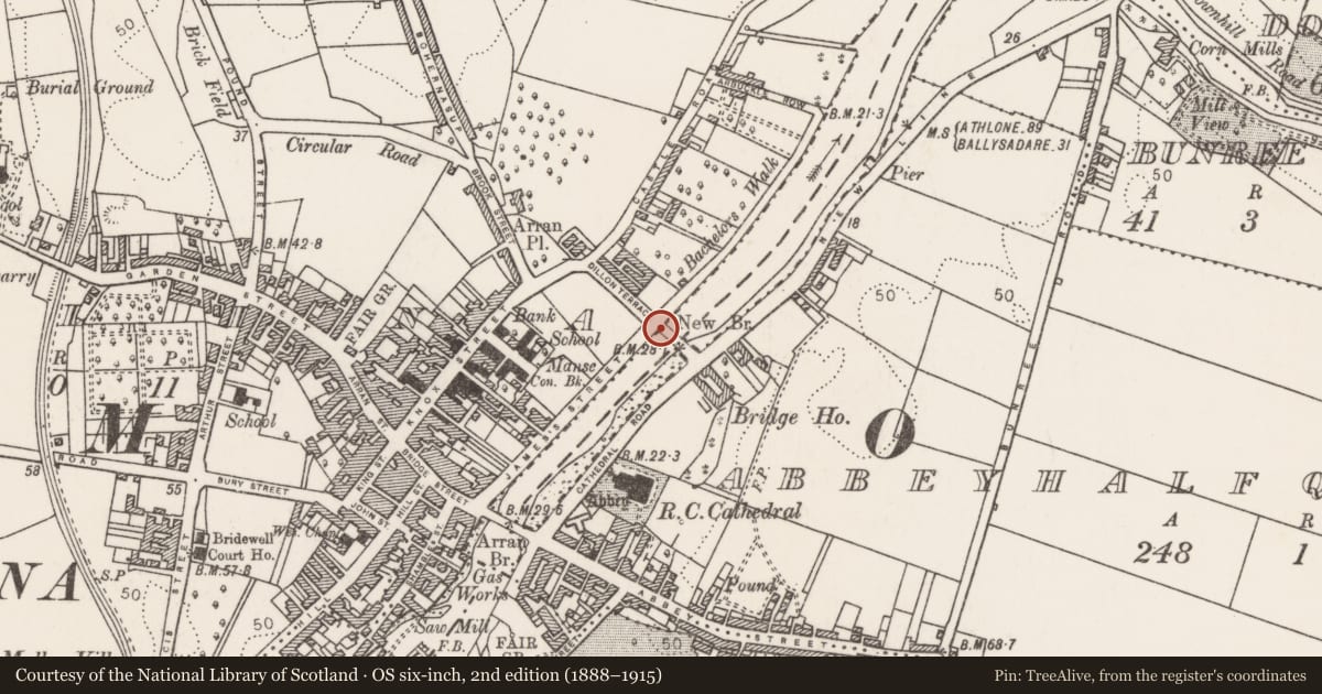 Ordnance Survey six-inch map, 2nd edition (1888–1915) covering the location of Bridge, Abbeyhalfquarter, Ballina, County Mayo, with a pin at the register's coordinates