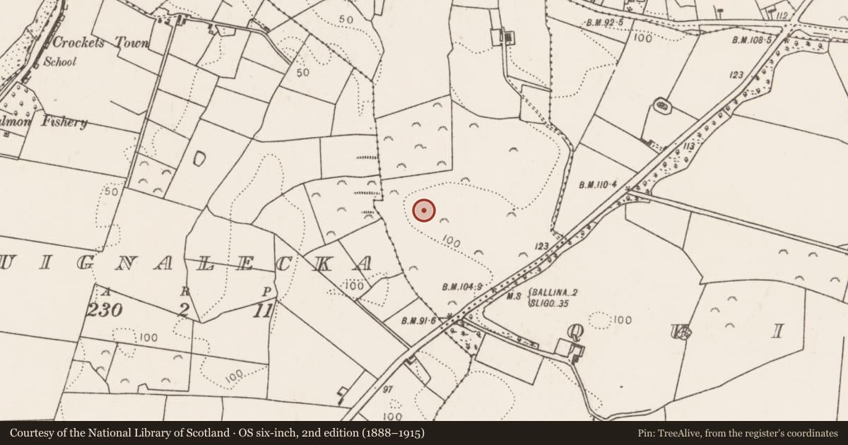 Ordnance Survey six-inch map, 2nd edition (1888–1915) covering the location of Ringfort - rath, Quignamanger, County Mayo, with a pin at the register's coordinates
