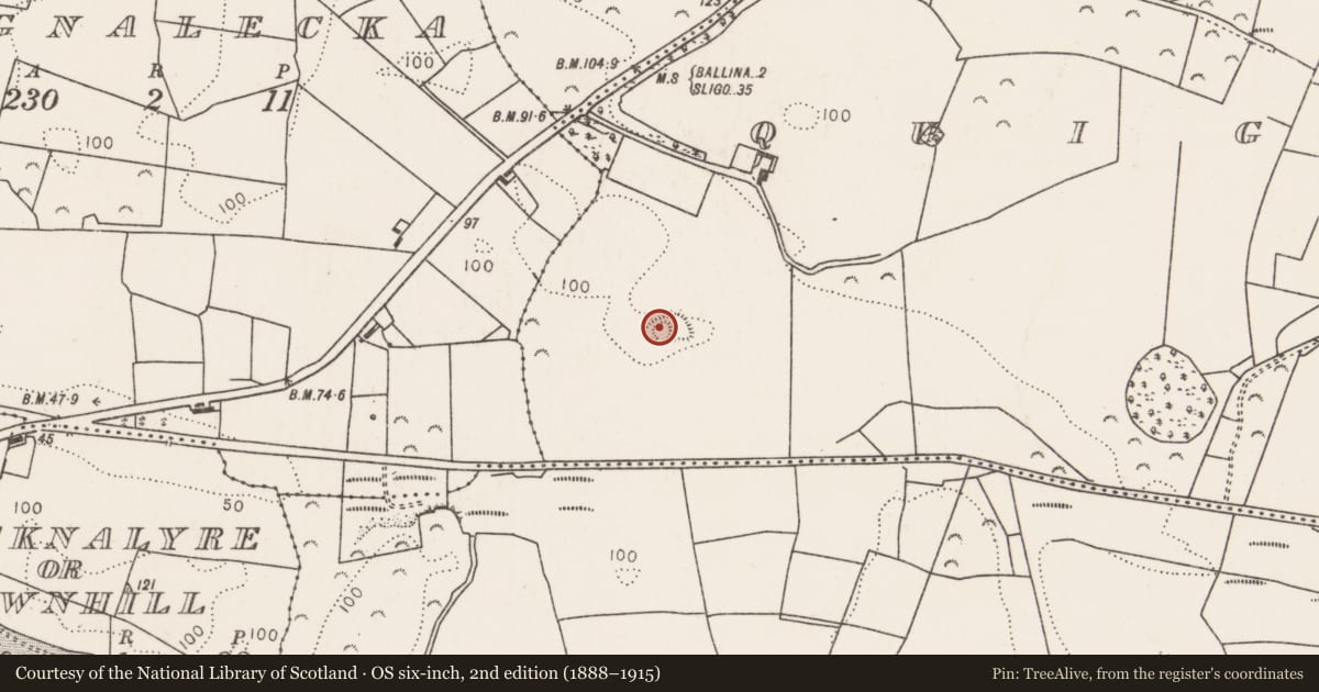 Ordnance Survey six-inch map, 2nd edition (1888–1915) covering the location of Ringfort - rath, Quignashee, County Mayo, with a pin at the register's coordinates