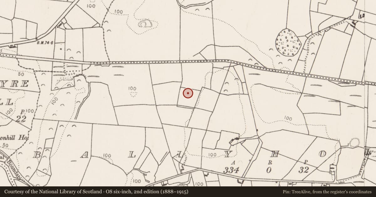 Ordnance Survey six-inch map, 2nd edition (1888–1915) covering the location of Megalithic tomb - court tomb, Ballyholan, County Mayo, with a pin at the register's coordinates