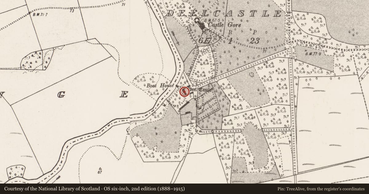 Ordnance Survey six-inch map, 2nd edition (1888–1915) covering the location of Castle - tower house, Deelcastle, County Mayo, with a pin at the register's coordinates