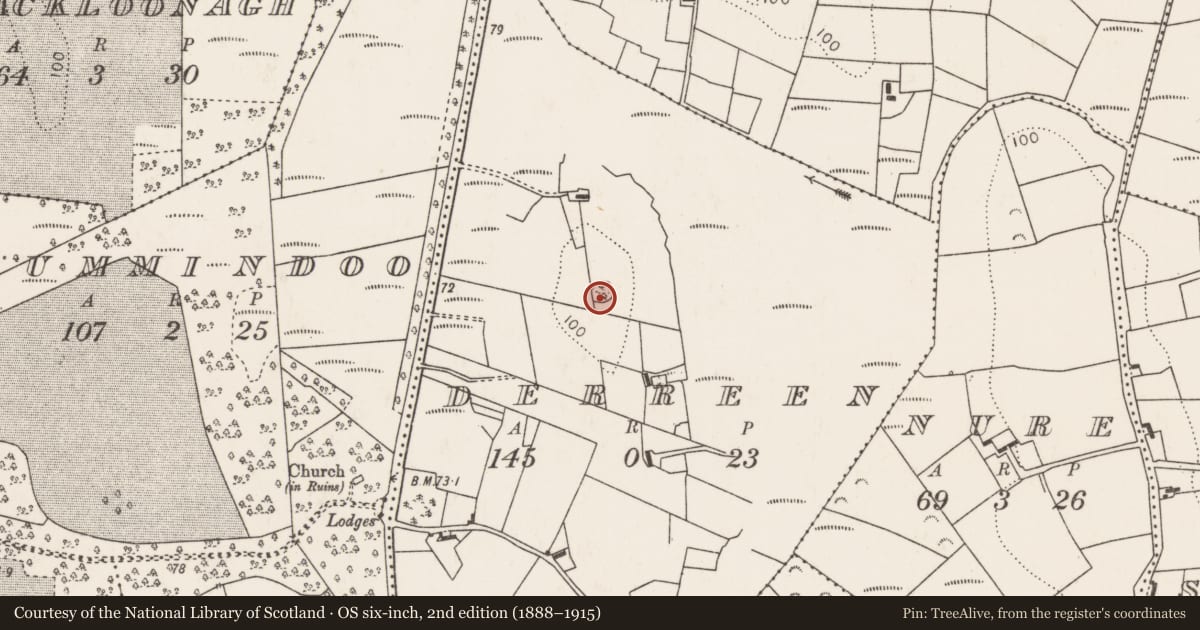 Ordnance Survey six-inch map, 2nd edition (1888–1915) covering the location of Enclosure, Derreen (Tirawley By., Ardagh Par.), County Mayo, with a pin at the register's coordinates
