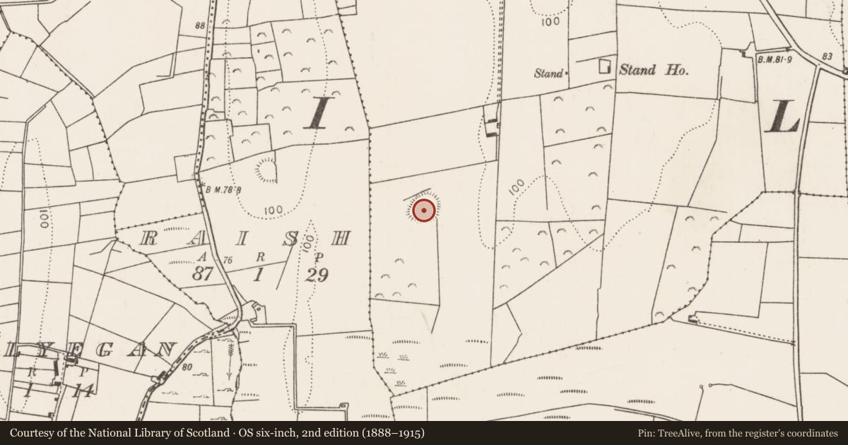 Ordnance Survey six-inch map, 2nd edition (1888–1915) covering the location of Ringfort - rath, Gorteen, County Mayo, with a pin at the register's coordinates
