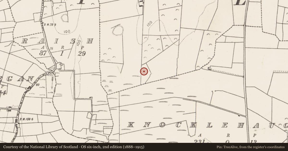 Ordnance Survey six-inch map, 2nd edition (1888–1915) covering the location of Megalithic structure, Gorteen, County Mayo, with a pin at the register's coordinates