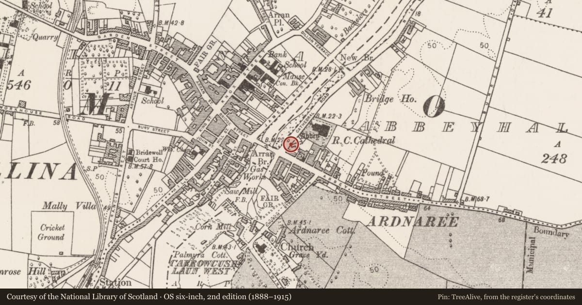 Ordnance Survey six-inch map, 2nd edition (1888–1915) covering the location of Building, Abbeyhalfquarter, County Mayo, with a pin at the register's coordinates