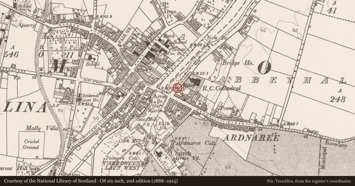 Ordnance Survey six-inch map, 2nd edition (1888–1915) covering the location of Graveyard, Abbeyhalfquarter, County Mayo, with a pin at the register's coordinates