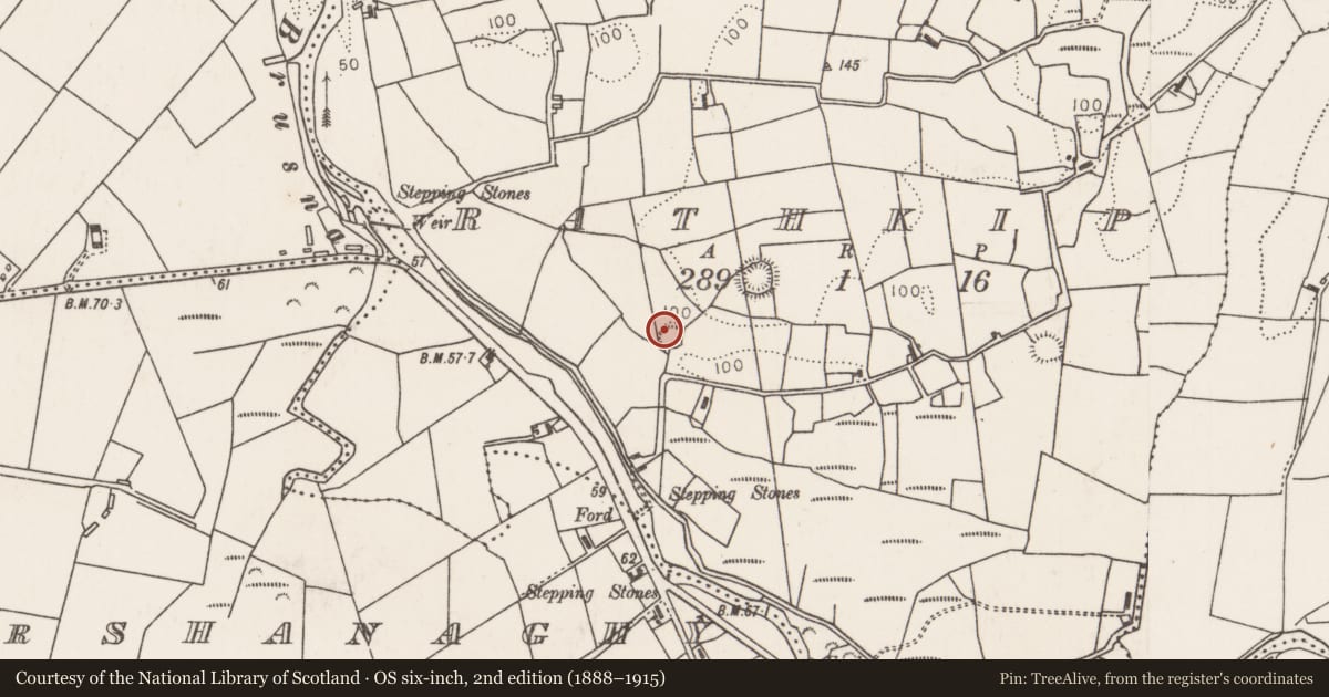 Ordnance Survey six-inch map, 2nd edition (1888–1915) covering the location of Ringfort - rath, Rathkip, County Mayo, with a pin at the register's coordinates