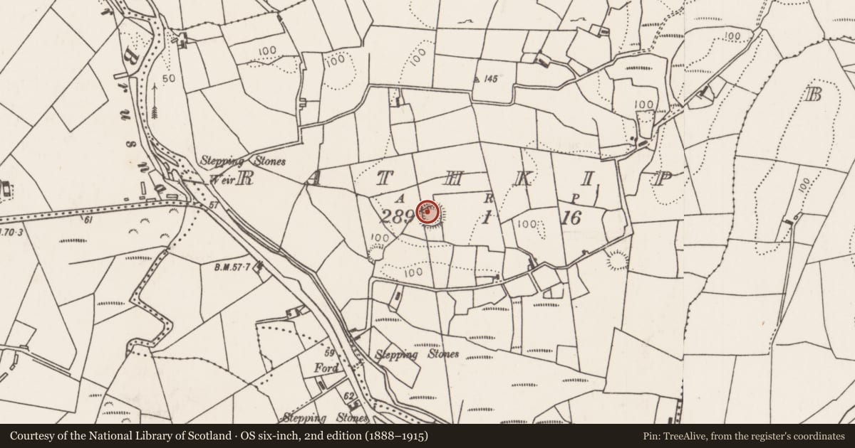 Ordnance Survey six-inch map, 2nd edition (1888–1915) covering the location of Ringfort - rath, Rathkip, County Mayo, with a pin at the register's coordinates