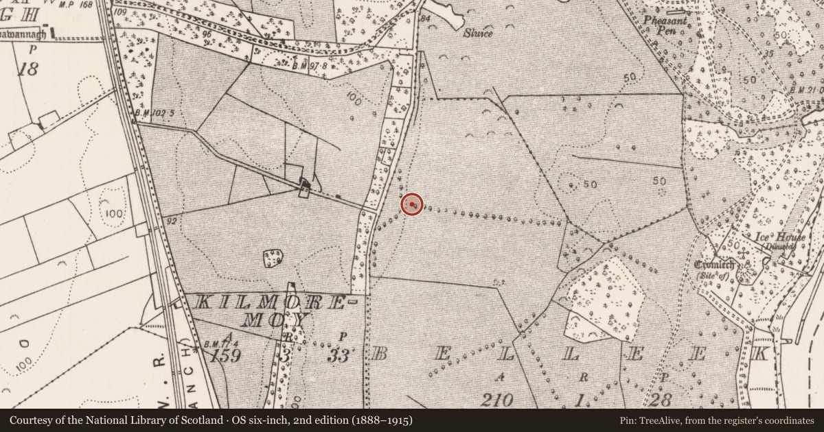 Ordnance Survey six-inch map, 2nd edition (1888–1915) covering the location of Fulacht fia, Belleek, County Mayo, with a pin at the register's coordinates