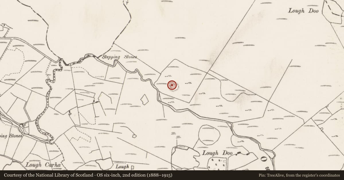 Ordnance Survey six-inch map, 2nd edition (1888–1915) covering the location of Ringfort - rath, Carrowleagh, County Mayo, with a pin at the register's coordinates