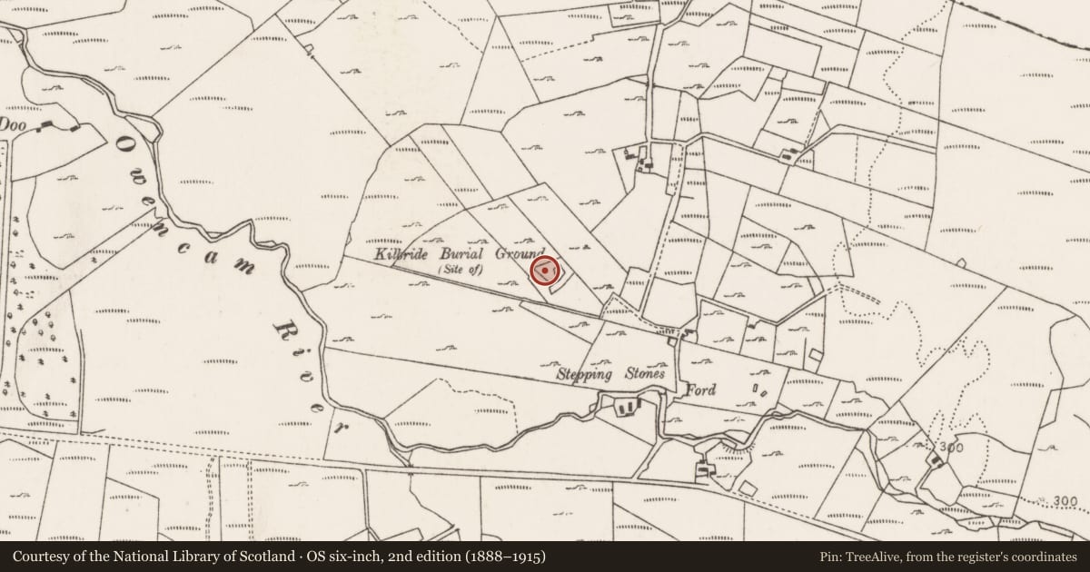 Ordnance Survey six-inch map, 2nd edition (1888–1915) covering the location of Burial ground, Carrowleagh, County Mayo, with a pin at the register's coordinates