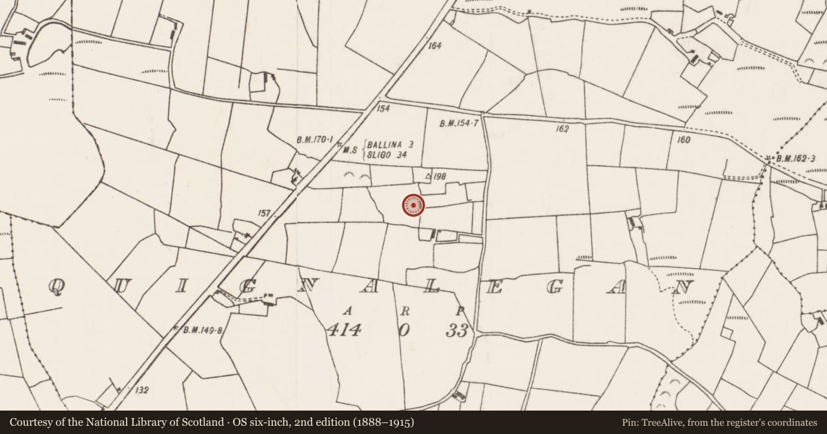 Ordnance Survey six-inch map, 2nd edition (1888–1915) covering the location of Ringfort - rath, Quignalegan, County Mayo, with a pin at the register's coordinates