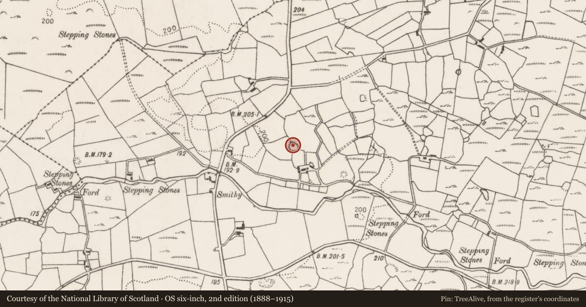 Ordnance Survey six-inch map, 2nd edition (1888–1915) covering the location of Ringfort - rath, Carrownaglogh, County Mayo, with a pin at the register's coordinates
