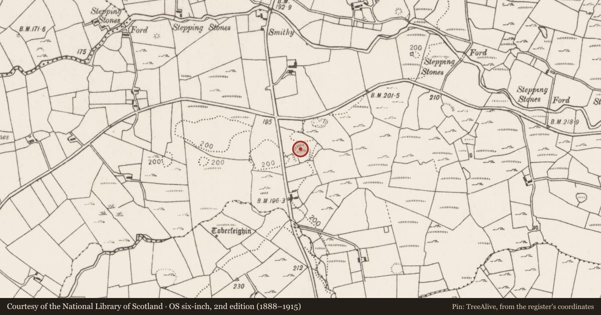 Ordnance Survey six-inch map, 2nd edition (1888–1915) covering the location of Ringfort - rath, Carrownaglogh, County Mayo, with a pin at the register's coordinates
