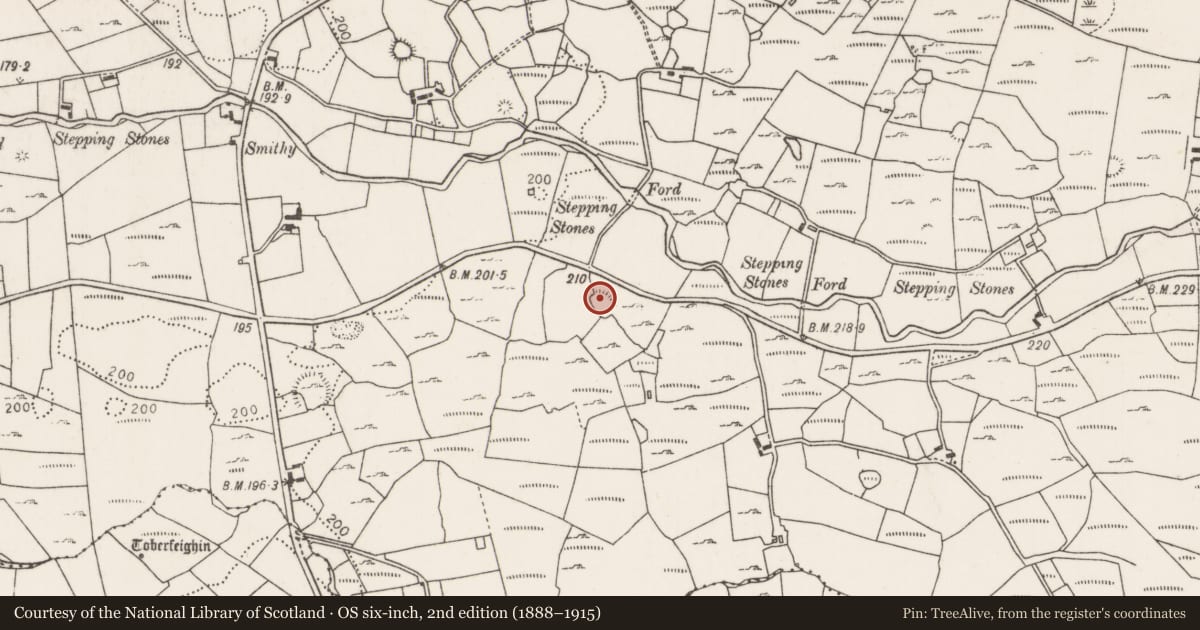 Ordnance Survey six-inch map, 2nd edition (1888–1915) covering the location of Ringfort - rath, Carrownaglogh, County Mayo, with a pin at the register's coordinates