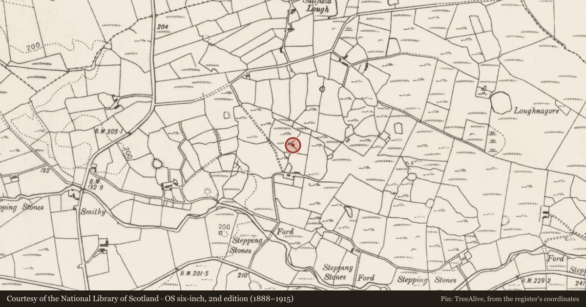 Ordnance Survey six-inch map, 2nd edition (1888–1915) covering the location of Ringfort - rath, Carrownaglogh, County Mayo, with a pin at the register's coordinates