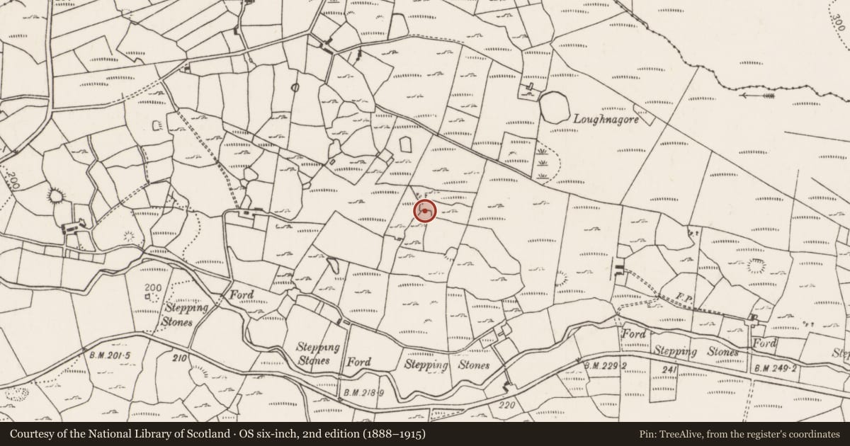Ordnance Survey six-inch map, 2nd edition (1888–1915) covering the location of Enclosure, Carrownaglogh, County Mayo, with a pin at the register's coordinates