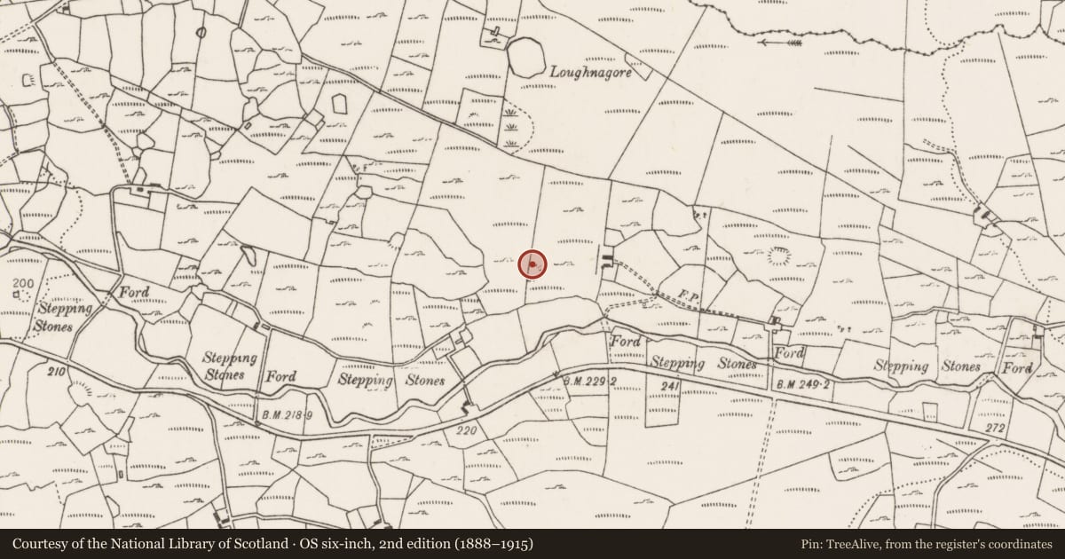 Ordnance Survey six-inch map, 2nd edition (1888–1915) covering the location of Enclosure, Carrownaglogh, County Mayo, with a pin at the register's coordinates