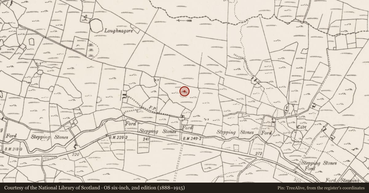 Ordnance Survey six-inch map, 2nd edition (1888–1915) covering the location of Ringfort - rath, Carrownaglogh, County Mayo, with a pin at the register's coordinates
